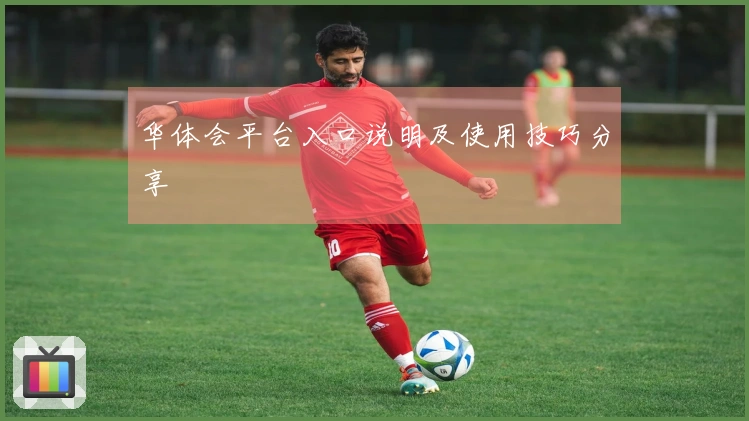 华体会平台入口说明及使用技巧分享